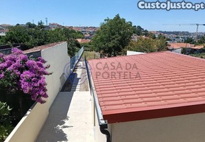 imagem_19