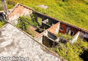 imagem_14