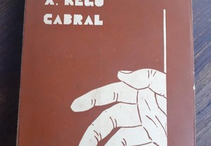 Jamba - A. Rego Cabral