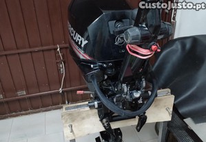 Mercury 20 efi
