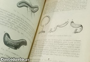 imagem_7