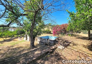 imagem_34