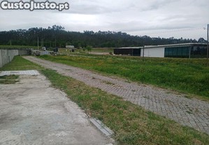 imagem_9