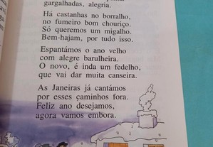 imagem_3