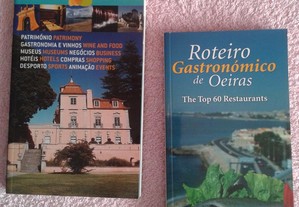 VIAGENS E TURISMO Portugal-livros,revistas,guias,mapas