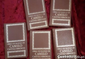 imagem_1