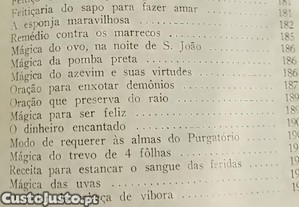 imagem_13