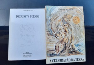 Obras de António Ramos Rosa e Luís Filipe Maçarico
