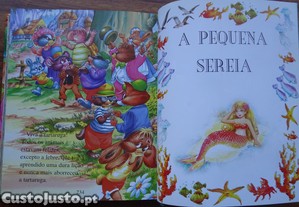 imagem_8