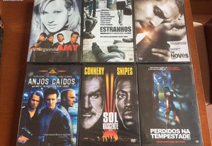 imagem_7