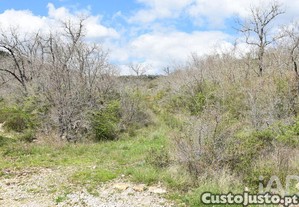 Terreno Agrícola em Chãos