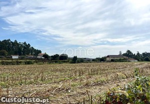 Terreno Agrícola Em Sequeade, Barcelos