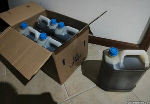 imagem_3