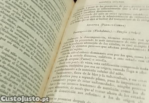 imagem_11