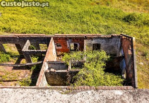 imagem_15