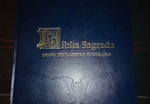 imagem_2