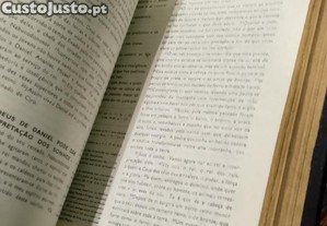 imagem_8