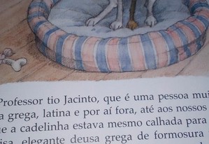 imagem_2