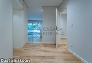 imagem_11