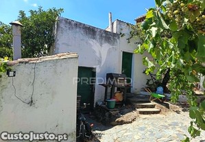 imagem_8