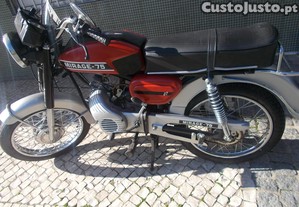 imagem_1