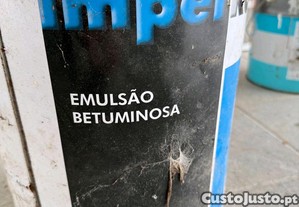 imagem_1