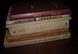 imagem_6