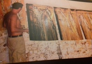 imagem_5
