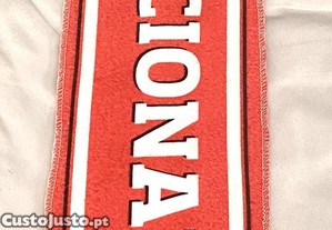 imagem_2