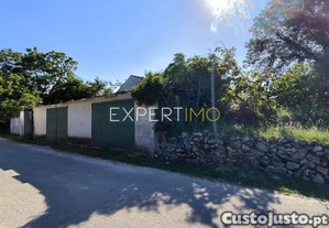 imagem_11