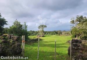 Terreno com pastagem nas bandeiras