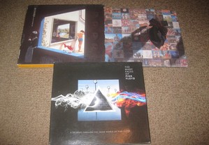 3 CDs dos "Pink Floyd"