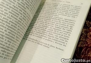 imagem_8
