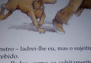 imagem_3