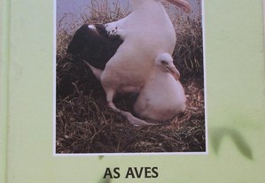 imagem_8