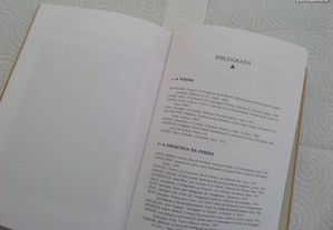 imagem_8