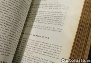 imagem_12