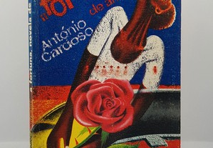 António Cardoso // A Fortuna, novela de Amor
