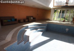 imagem_12