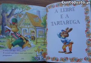 imagem_7