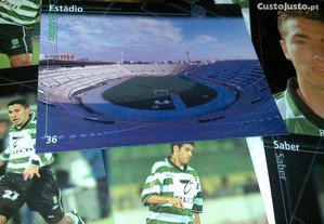 imagem_7