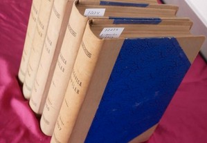 imagem_3