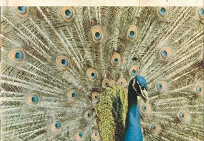 Encyclopédie du Monde Animal - 5 de Maurice Burton