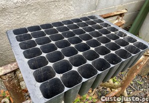 Caixas para eucaliptos ou pinheiros