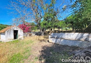 imagem_35