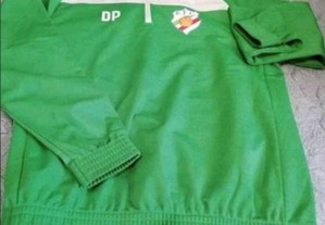 imagem_6