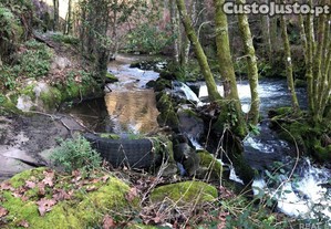 imagem_17