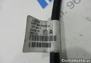 imagem_4