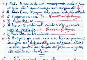 imagem_8
