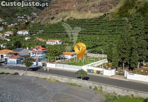 imagem_9
